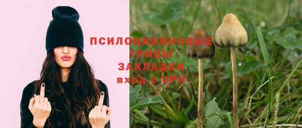 ешки Аркадак