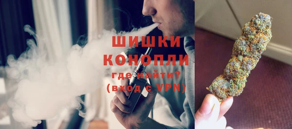 шишки Арсеньев