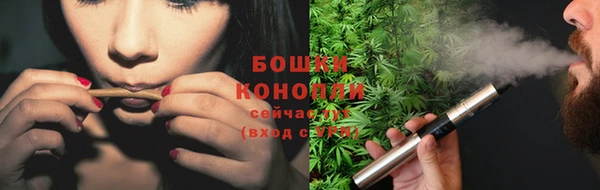 шишки Арсеньев