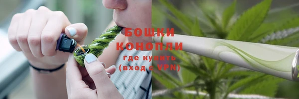 ешки Аркадак