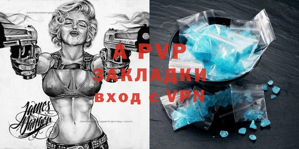 шишки Арсеньев