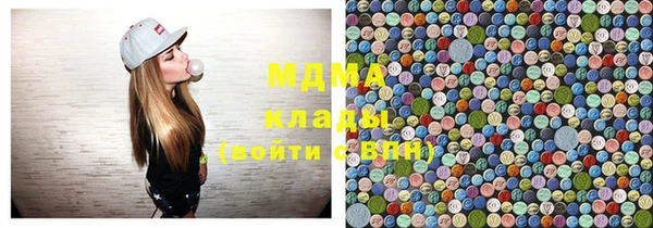 шишки Арсеньев