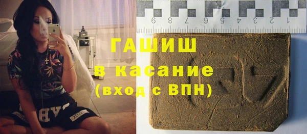 шишки Арсеньев