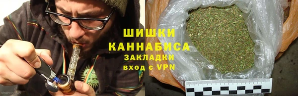 ешки Аркадак