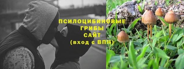 ешки Аркадак