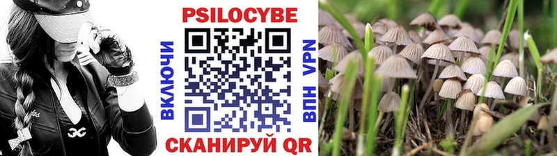 Галлюциногенные грибы GOLDEN TEACHER  магазин продажи   Опочка 